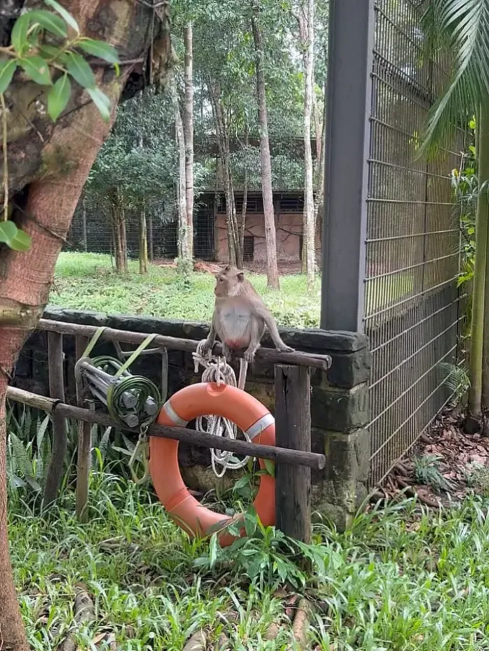 푸꾸옥 여행 일기 - 베트남 진주 섬에서의 특별한 4일간