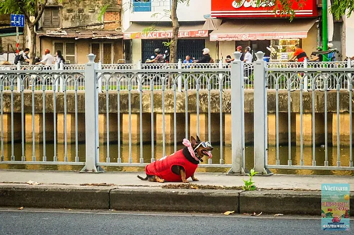 Bánh flan Thái Thủy 인플레이션 시대의 귀엽고 저렴한 데이트, 운하 옆 플랑