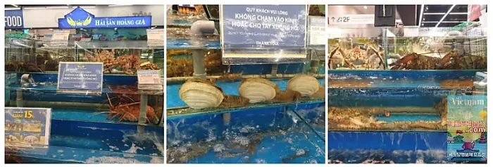 호치민 롯데마트 방문 후기!-무조건 들려야 하는 기념품 천국!