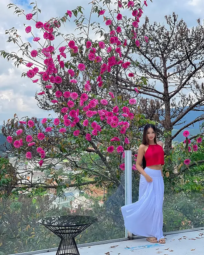 달랏에서의 그녀 @fayemiah