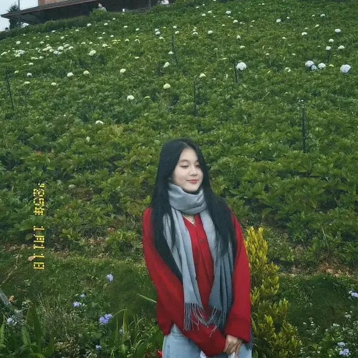 iu dalat @yl.catto