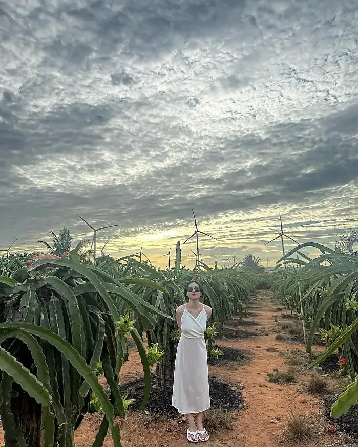 베트남 투어 찾다 우연히 왔는데 넘 예쁘셔서용 instagram for hyo_ohhh