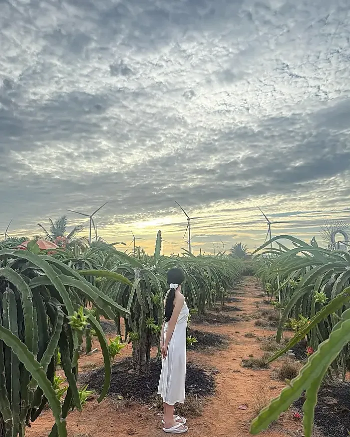 베트남 투어 찾다 우연히 왔는데 넘 예쁘셔서용 instagram for hyo_ohhh